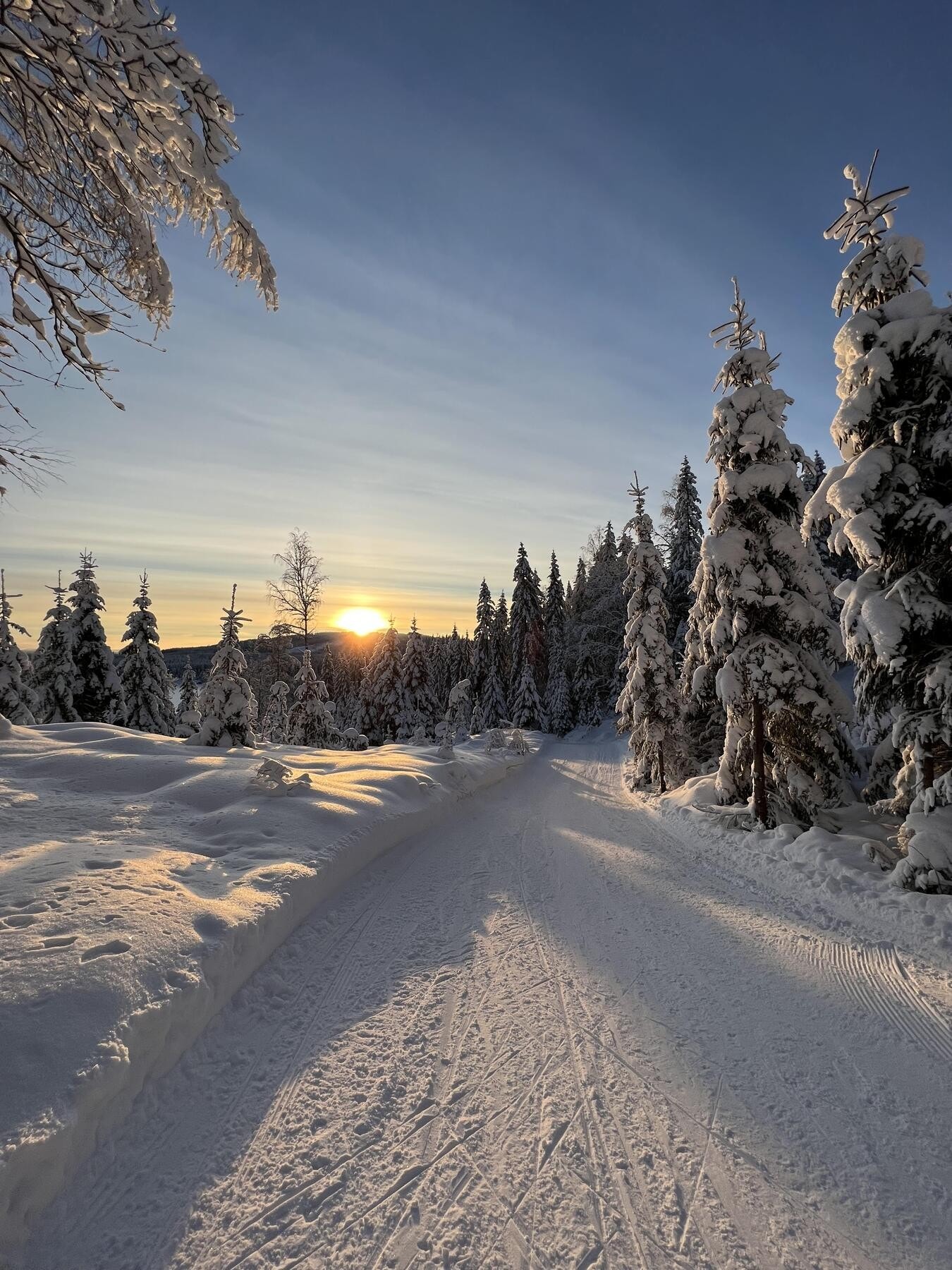 Nordmarka en vakker vinterdag. Galleribilde