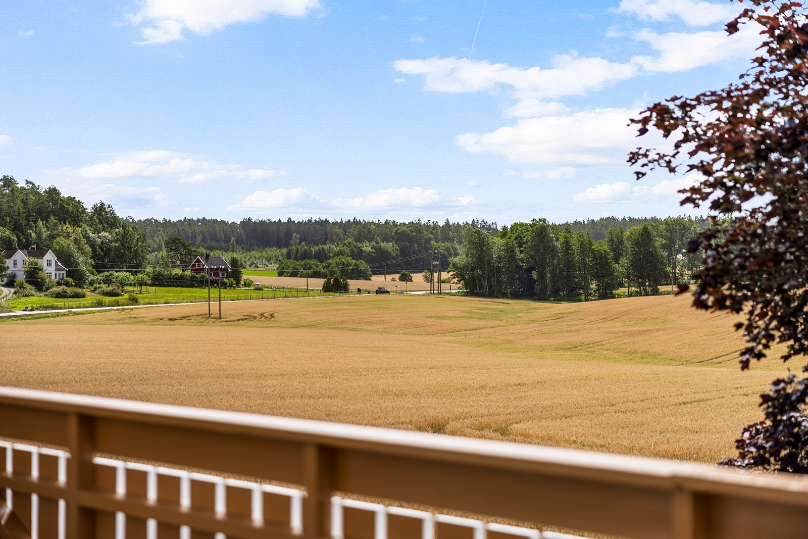Nyt utsikten fra verandaen Galleribilde