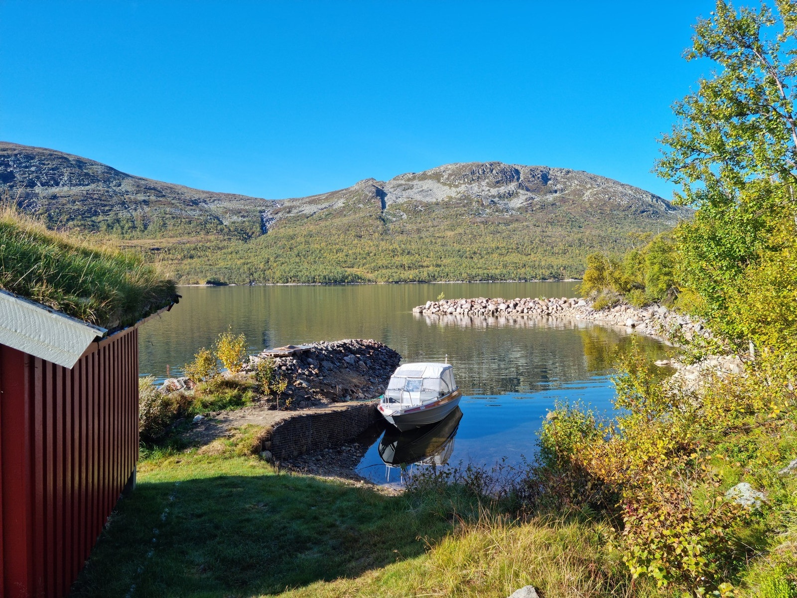 Selgers eget bilde Galleribilde