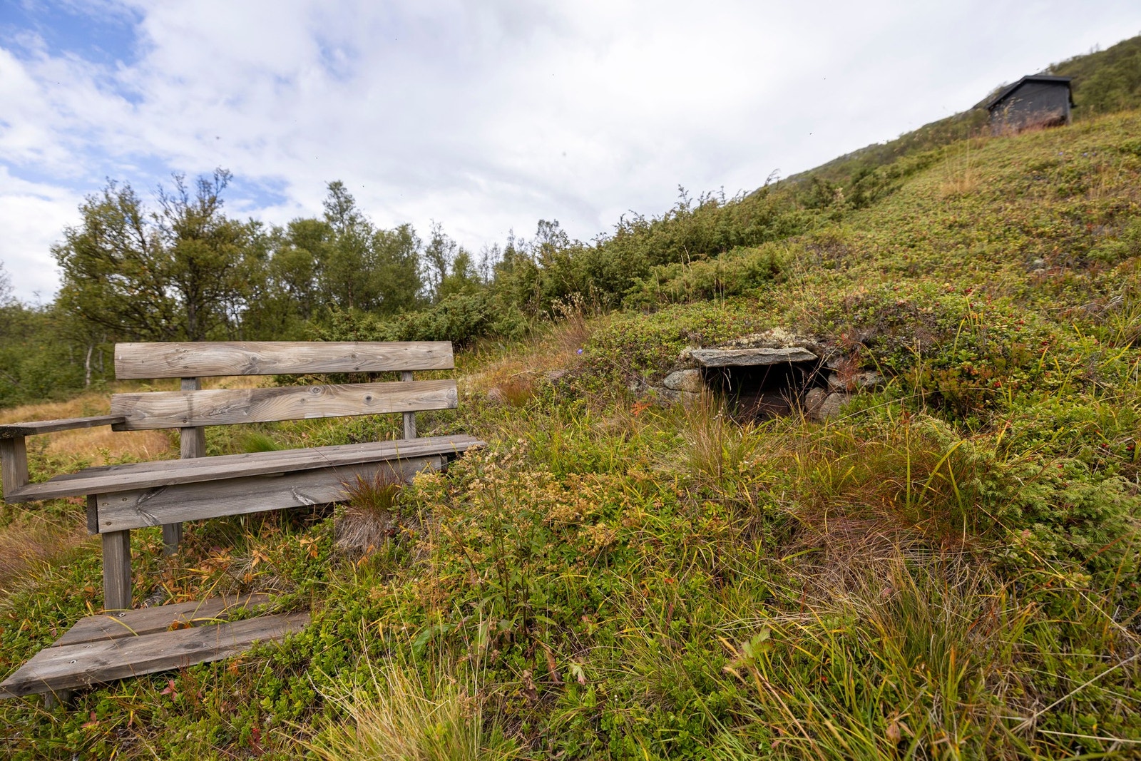 Røykeovnen Galleribilde