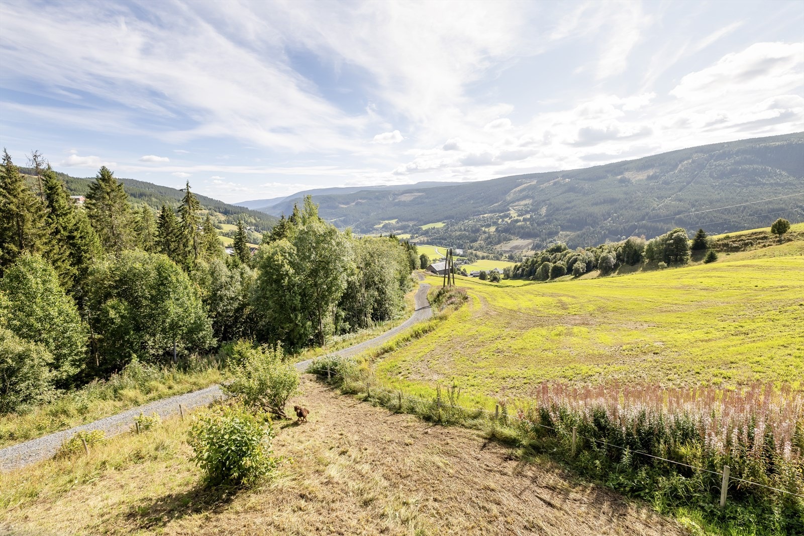Fra terrassen kan man nyte gode solforhold og en nydelig utsikt over dalen! Galleribilde