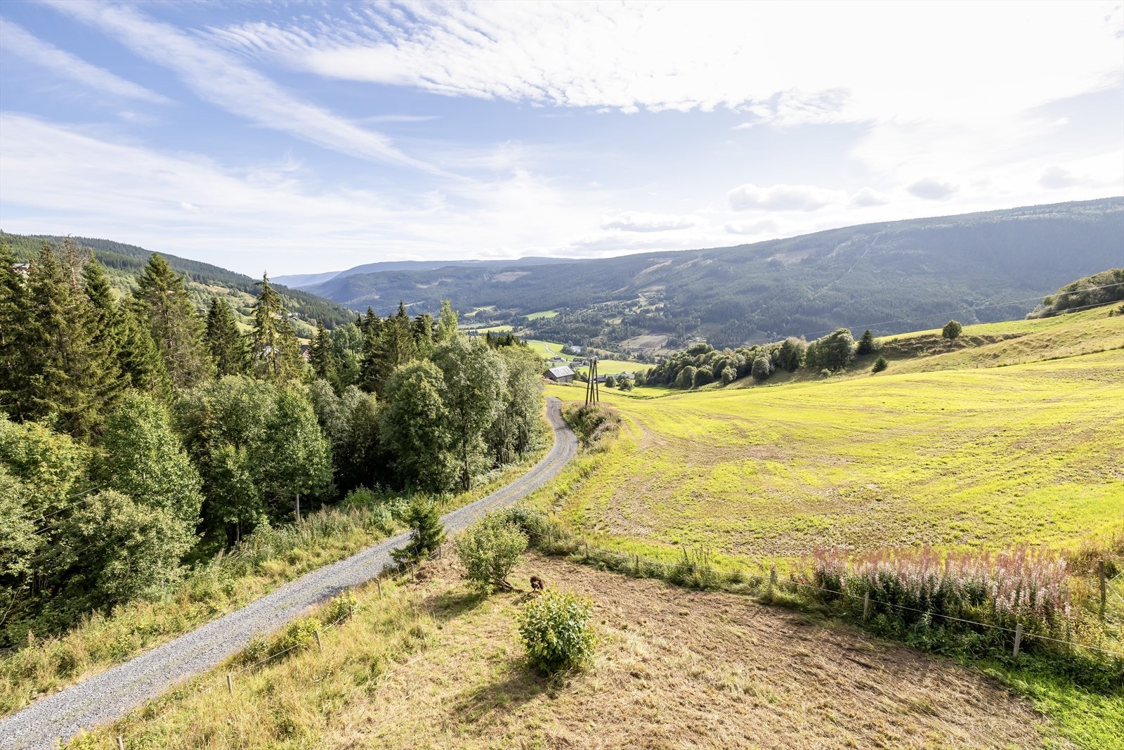 Utsikt fra balkongen! Galleribilde