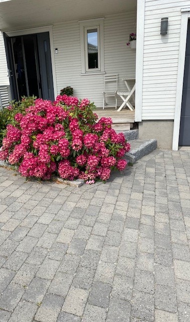 Selgers bilde Galleribilde