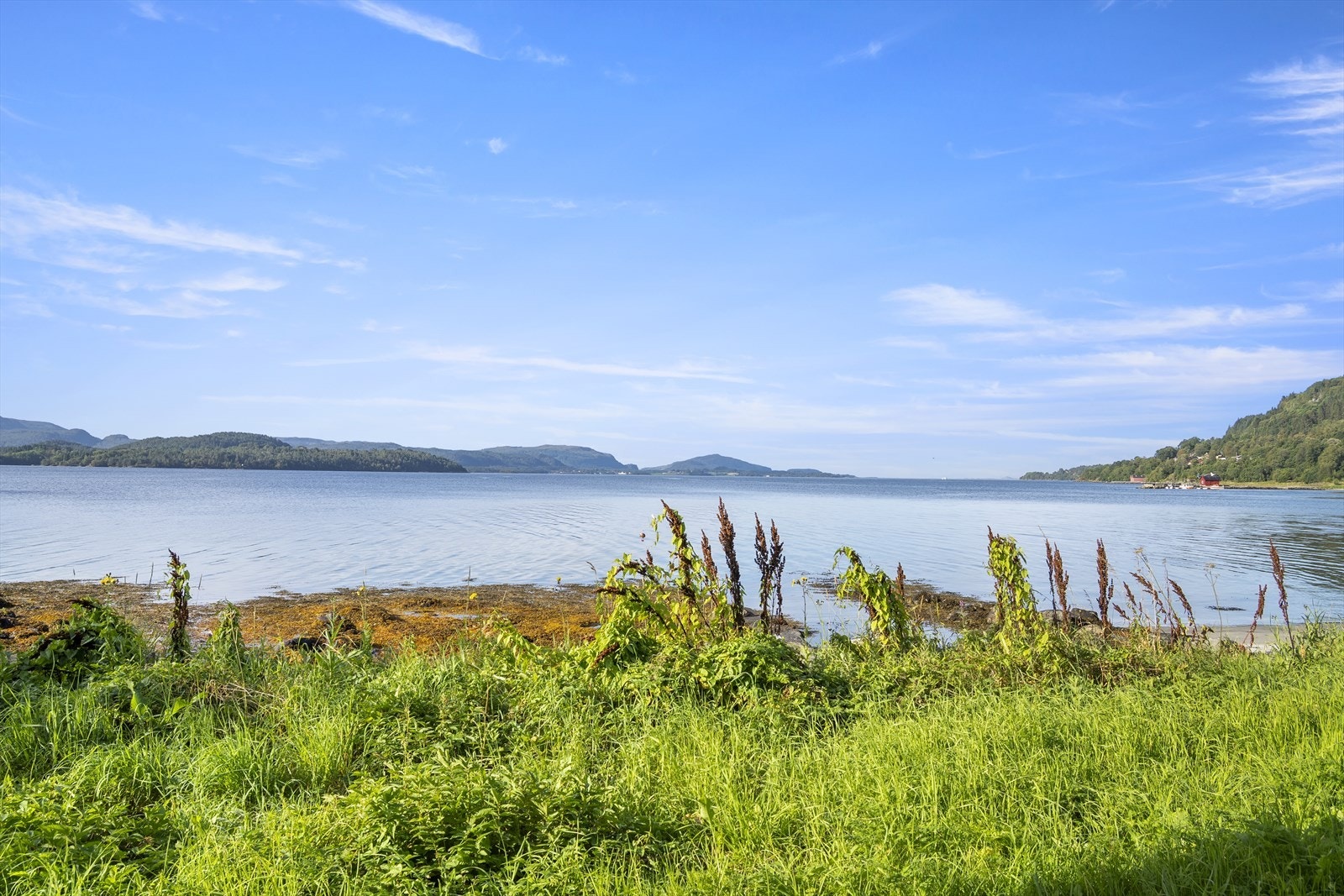 Flott utsikt utover fjorden frå naustet Galleribilde
