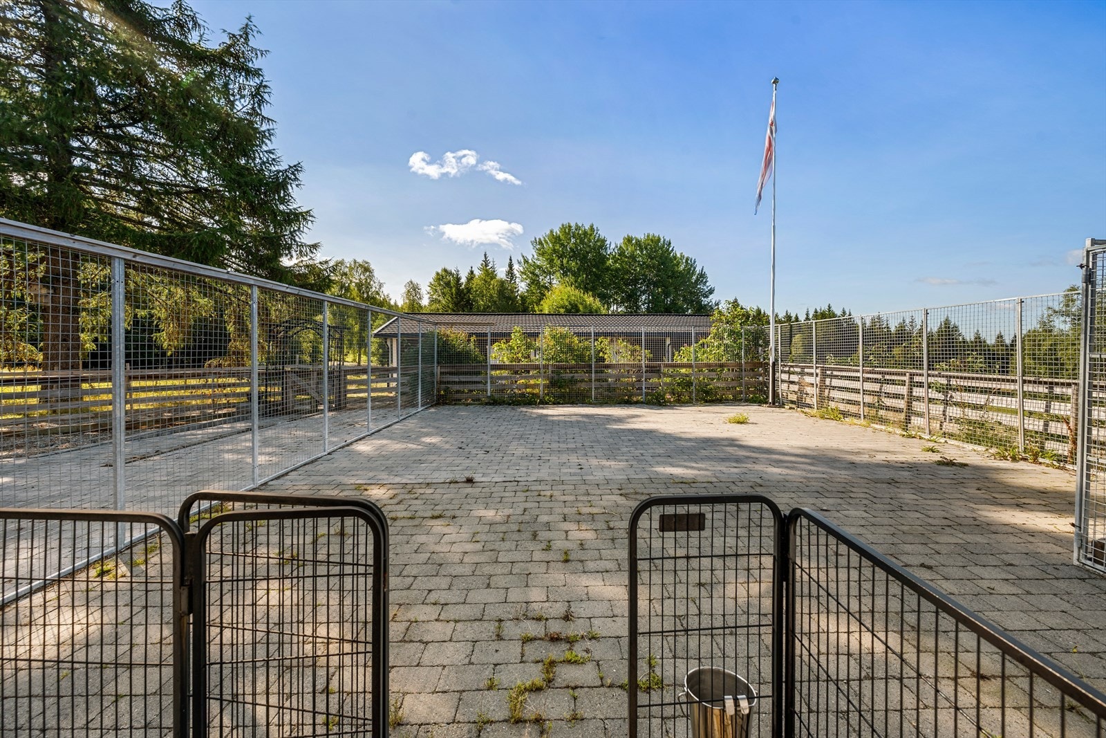 Hundegård Galleribilde