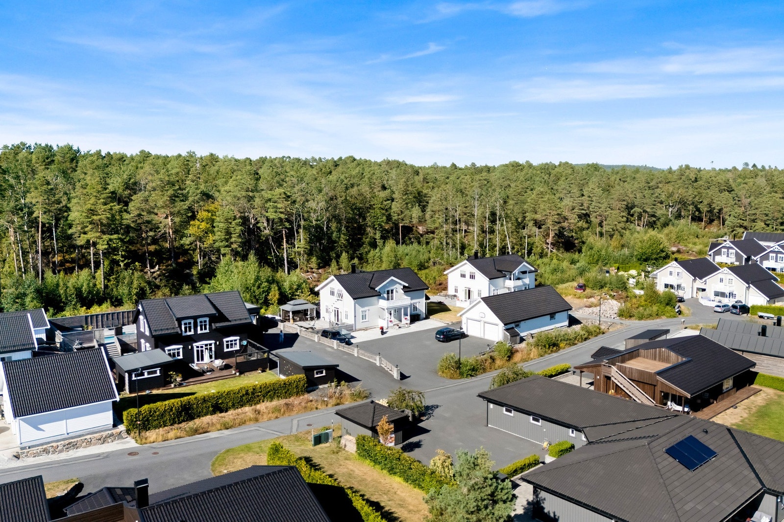 Hyggelig nabolag med skogen rett utenfor døren. Masse fine turmuligheter, som for eksempel til Fransåsen eller dagsturhytta. Galleribilde