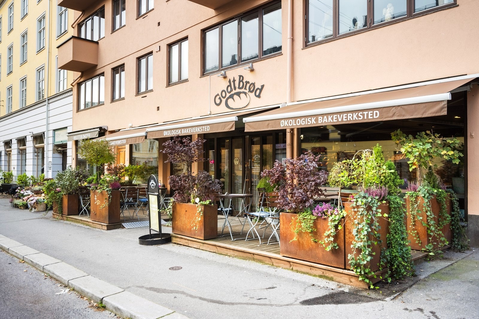 Områdebilde. Galleribilde