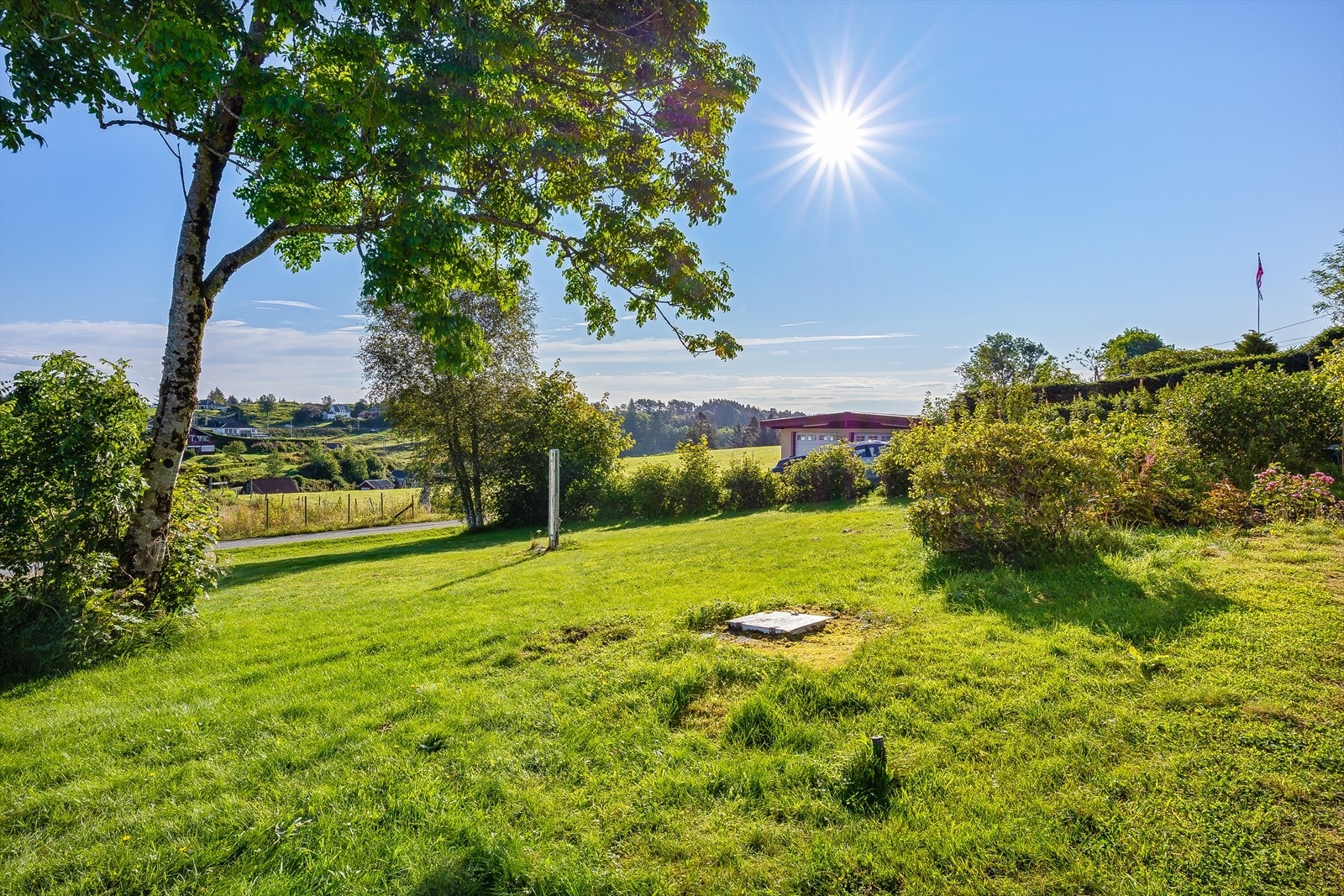 Stor og åpen hage med plen og variert beplantning. Galleribilde