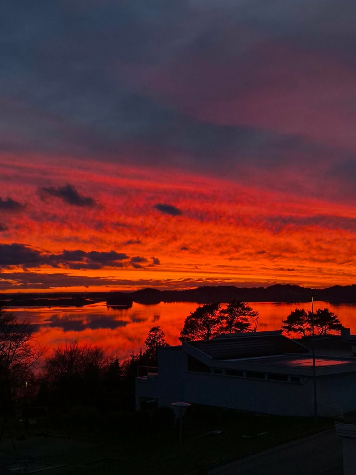 Selgers solnedgang bilder Galleribilde