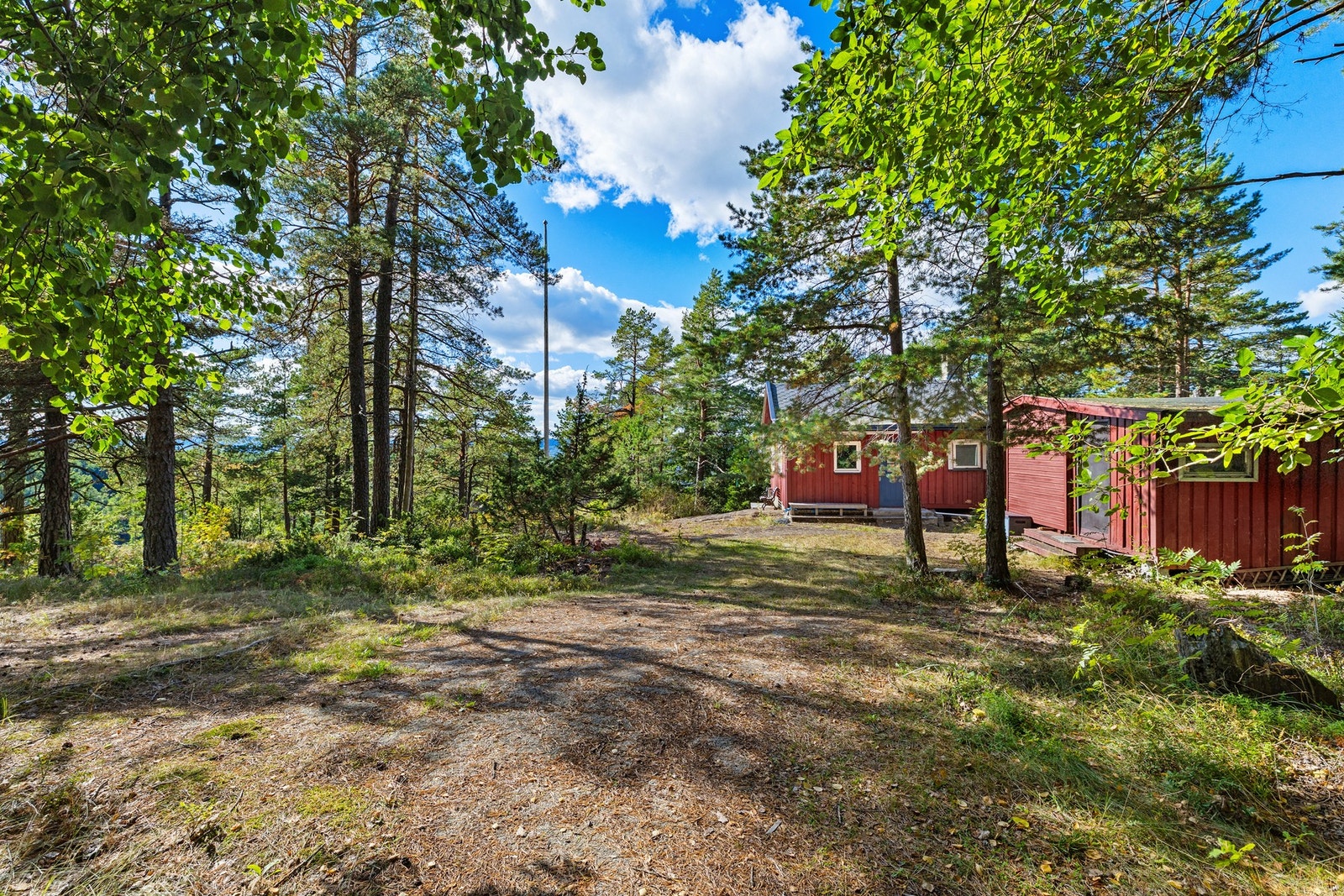 Flott naturtomt Galleribilde