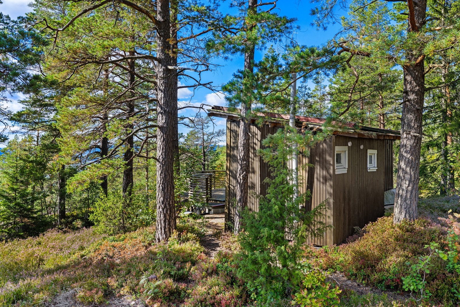 Hytte 1 Galleribilde