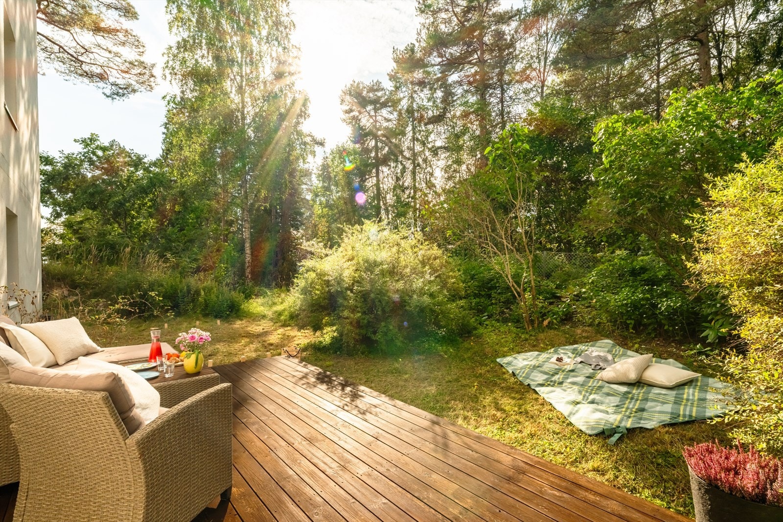 Bak gjerdet er det et skogholt over til et annet boligfelt på andre siden Galleribilde