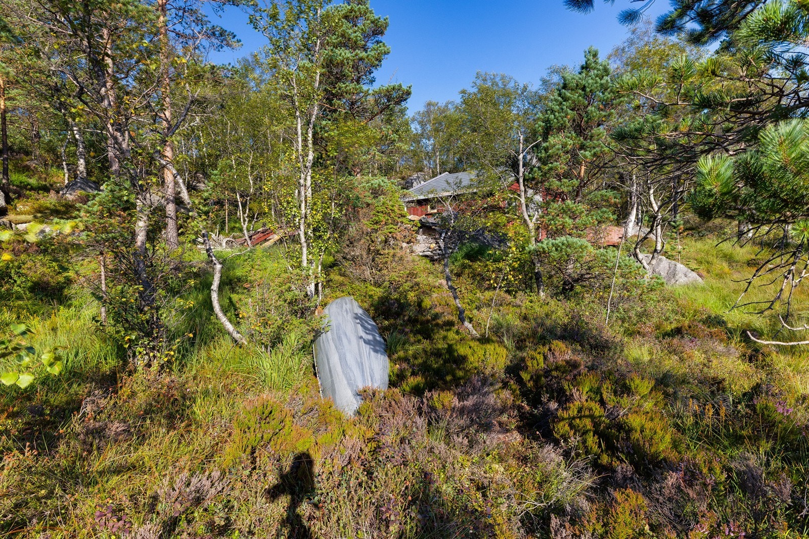 Her står naturkvalitetene i sentrum. Galleribilde