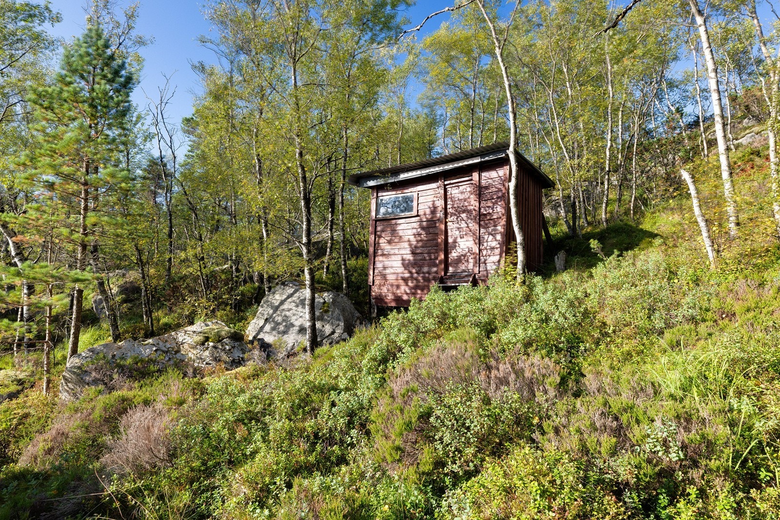 Uthuset ligger fint til i den naturskjønne tomten omgitt av skog og fjellterreng. Galleribilde