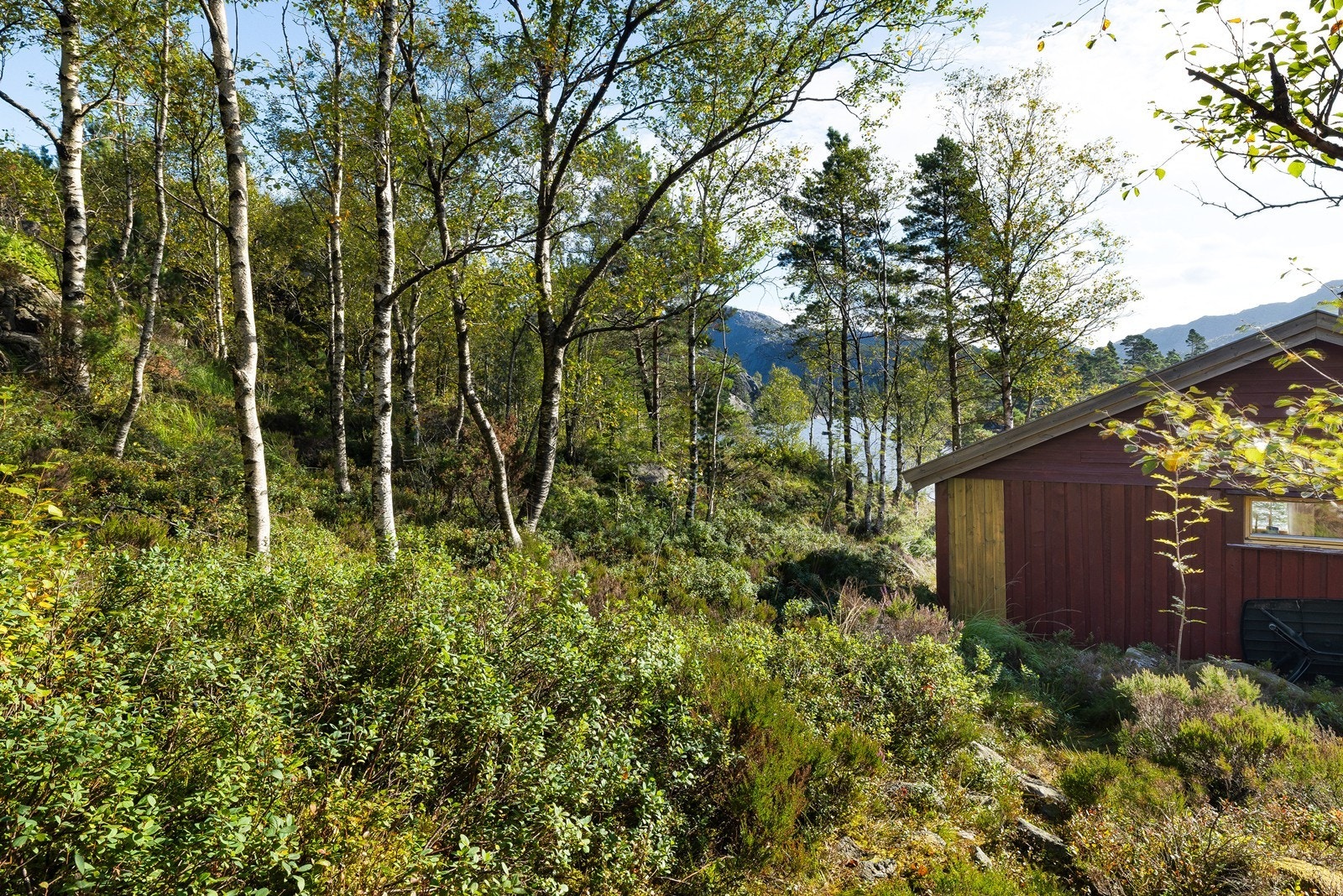 Her får du naturen tett på rett utenfor hytteveggen. Galleribilde