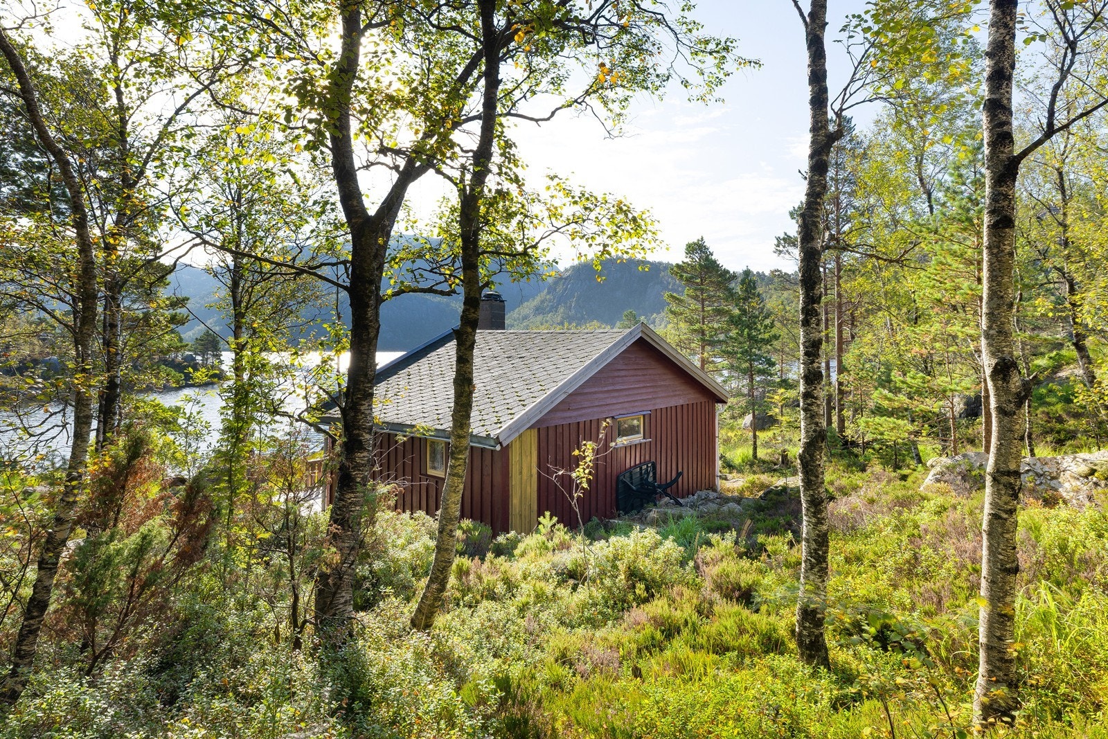 Hytta er fint integrert i terrenget og omkranset av naturlig vegetasjon. Galleribilde