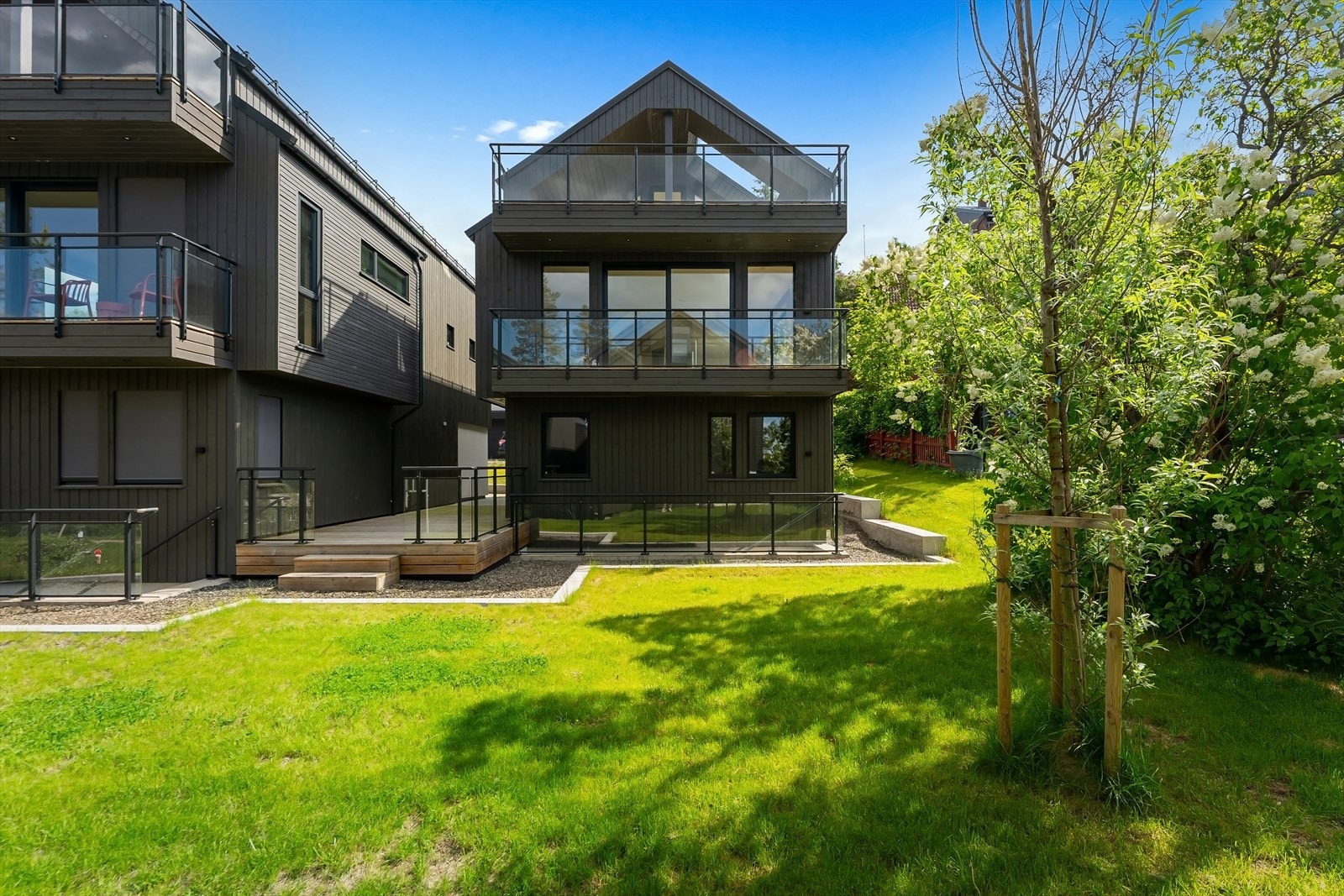 Pent opparbeidet felles hage med gressplen og diverse beplantning. Galleribilde