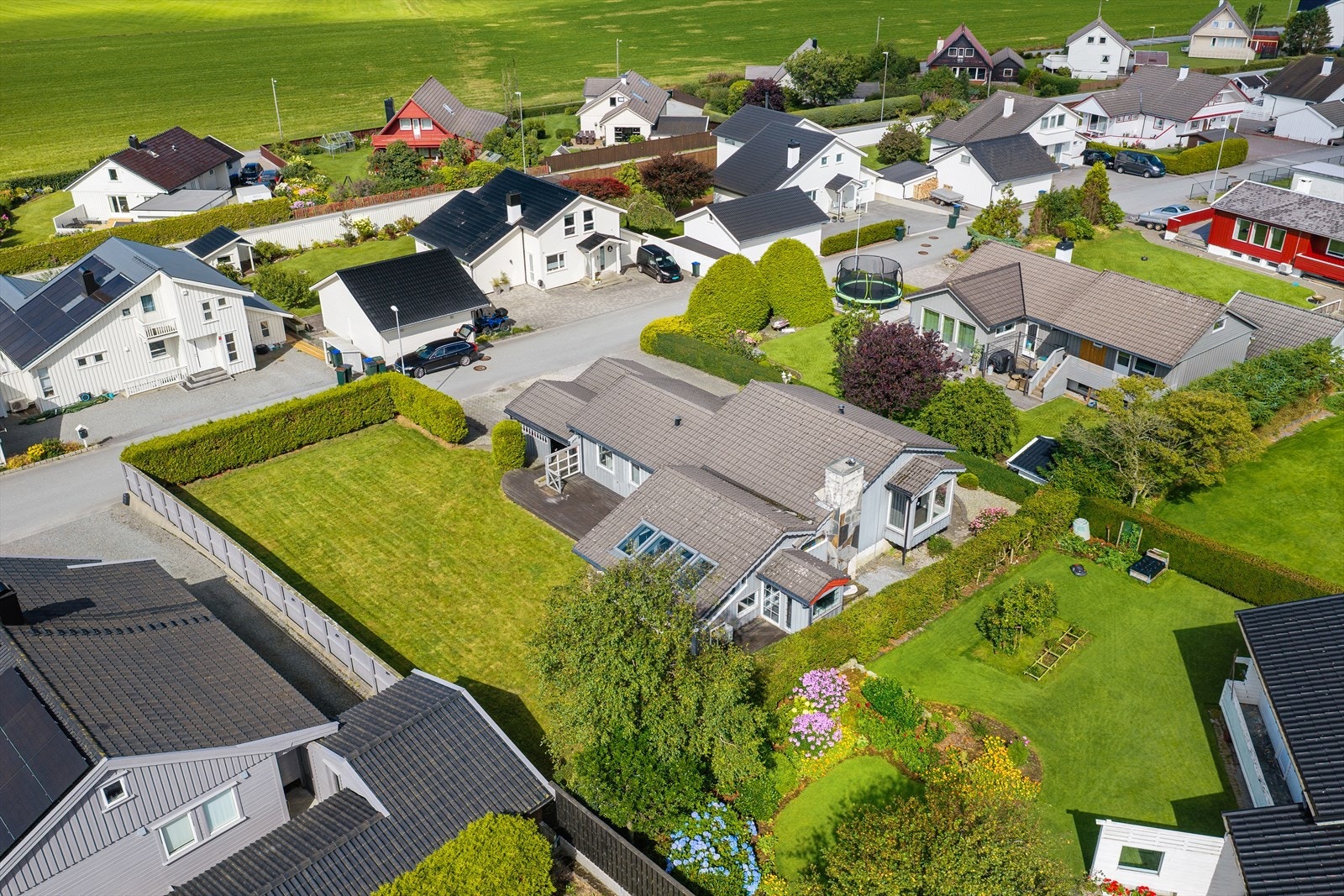 Velkommen til en hyggelig visning! Galleribilde