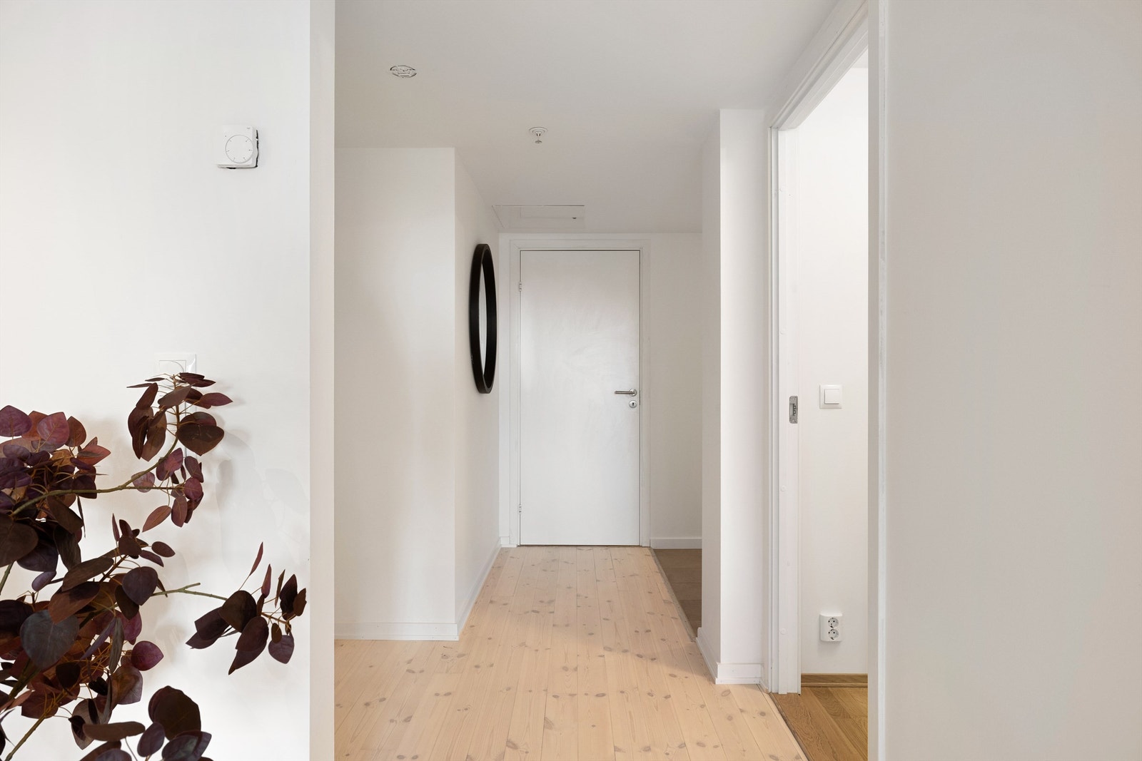 Bodene er begge lett tilgjengelig fra gangen. Galleribilde