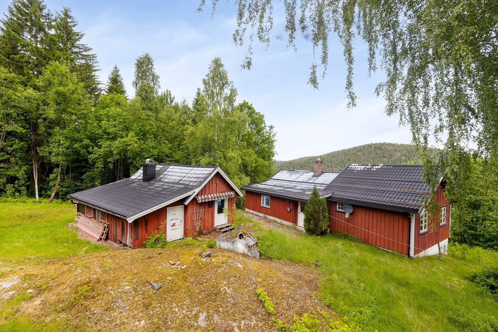 Eiendomsmegler 1 v/ Ole Jonas Gjærum presenterer Nomevegen 160. Foto: Inbovi. Galleribilde