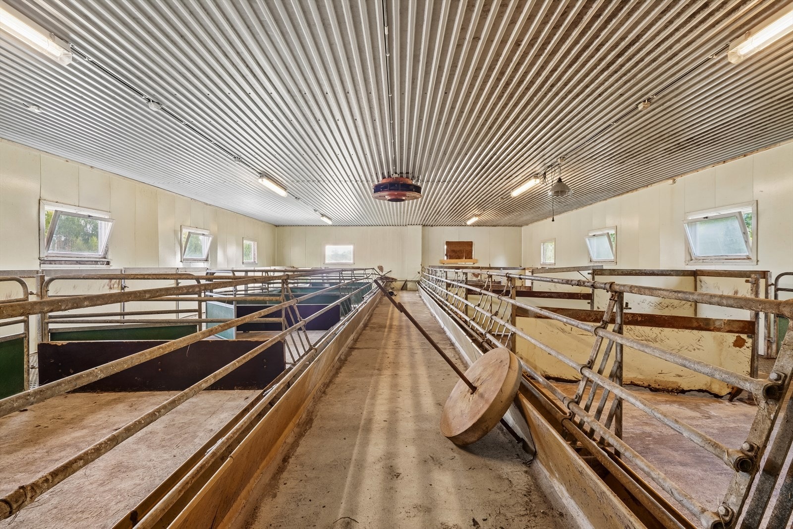 Sauefjøs med 10 binger, vegger kledd med husdyrplater og det er montert avtrekksvifte. Galleribilde