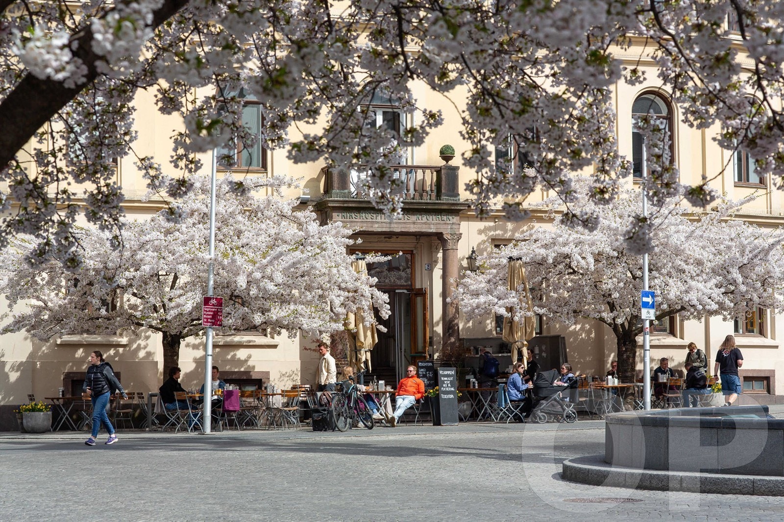 Nærområdet byr på et mangfold av kafeer, restauranter og grønne lunger som Slottsparken. Galleribilde