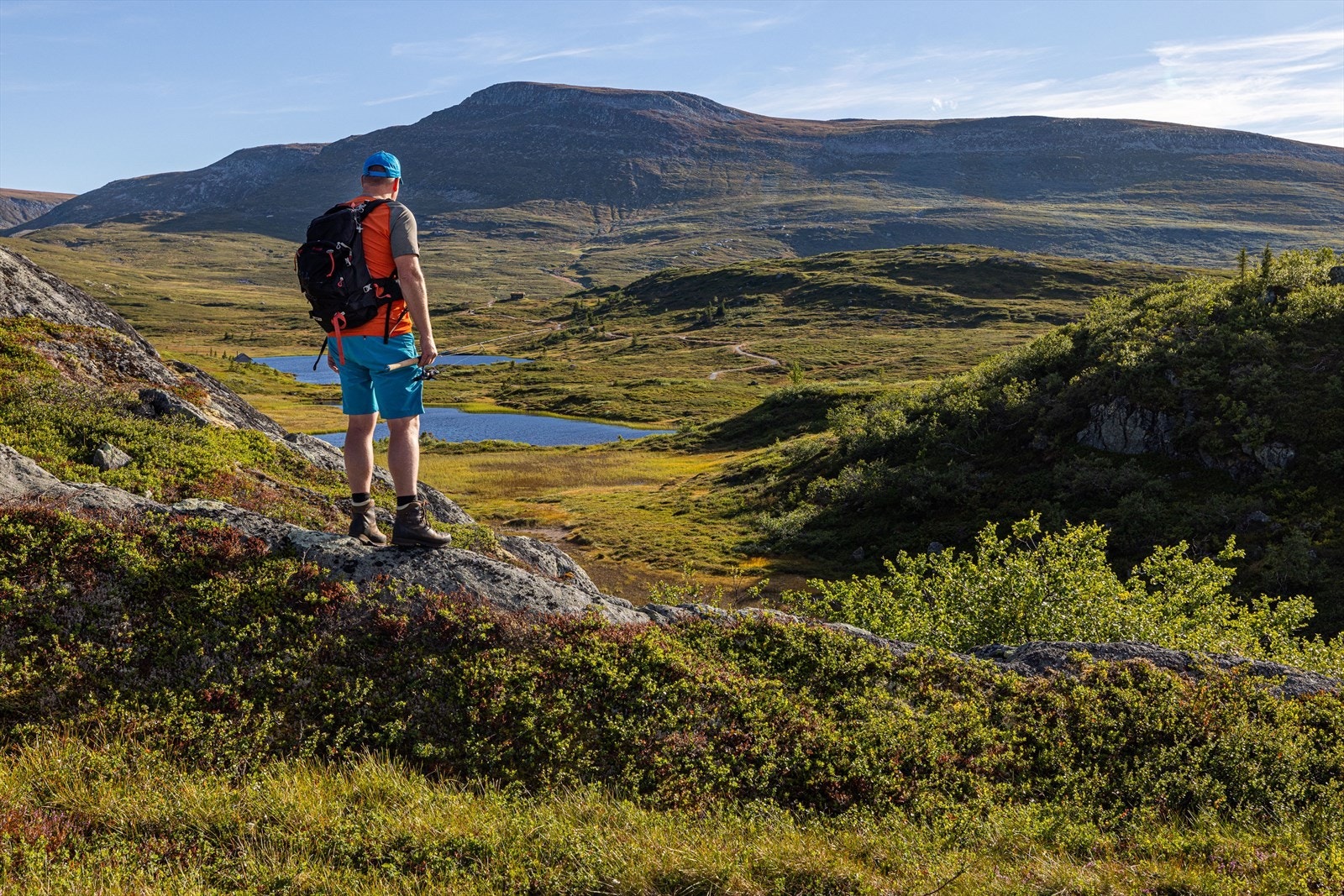 Høgevarde har et vakkert naturlandskap med flotte turmuligheter og fiskevann. Galleribilde
