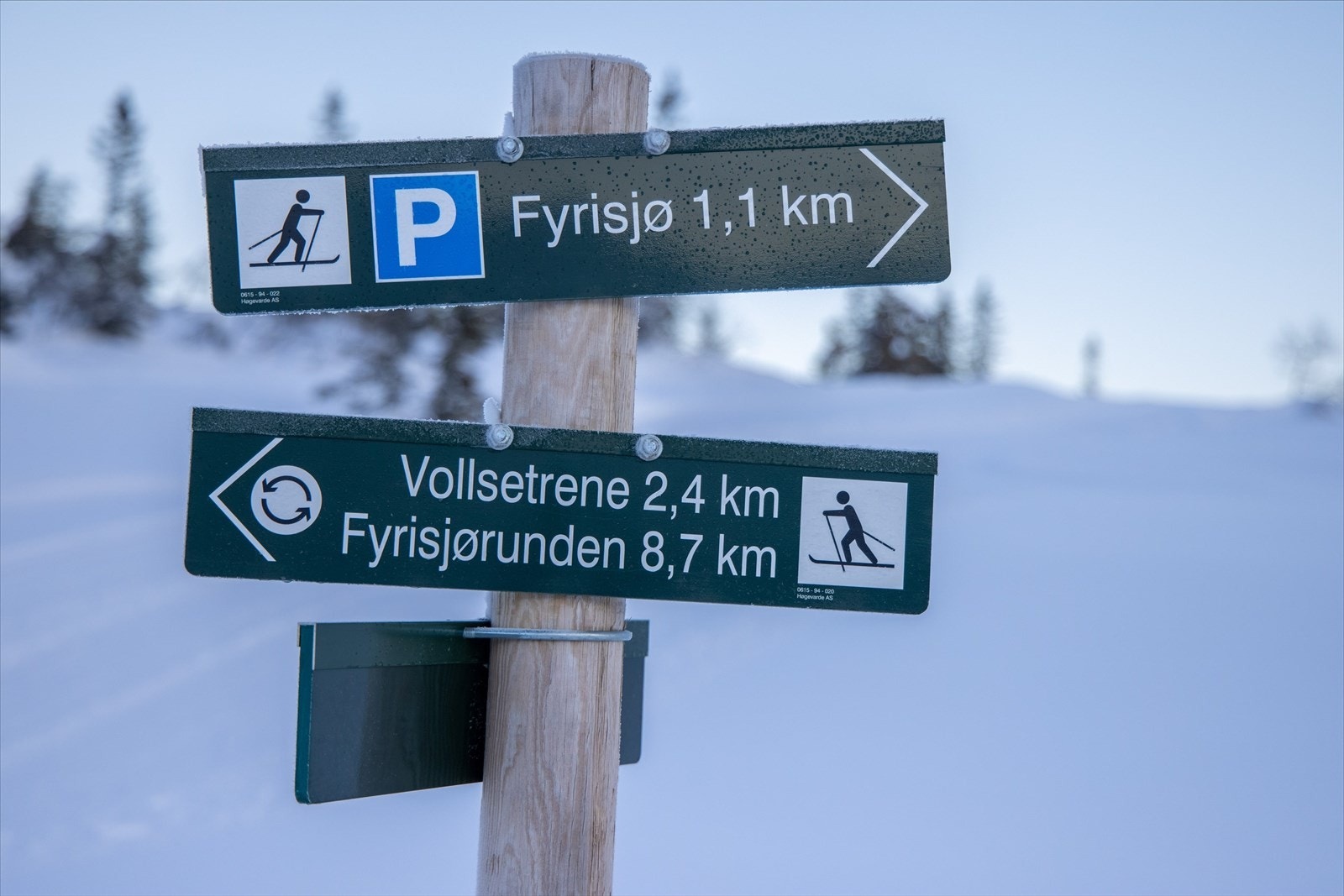 Det finnes utallige muligheter for ski med et bredt løypenett. Galleribilde