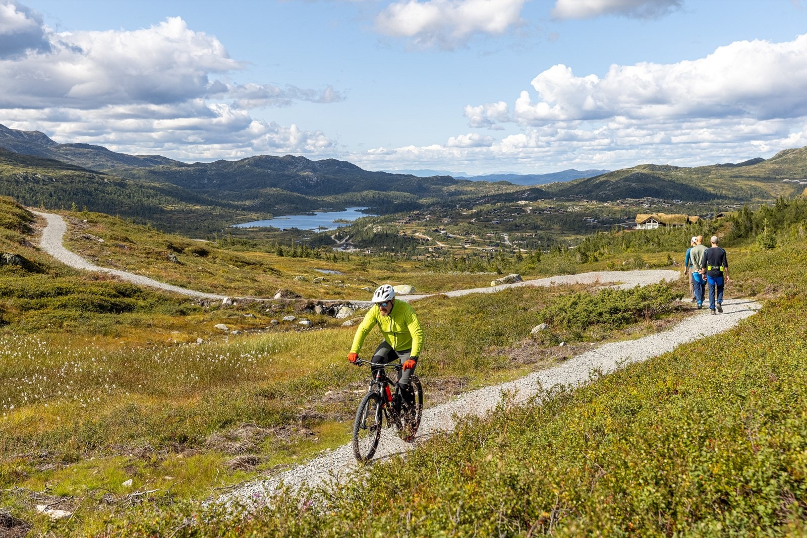 Høgevarde legger opp til storstilt utvikling av nye sykkelstier på naturens premisser. Galleribilde