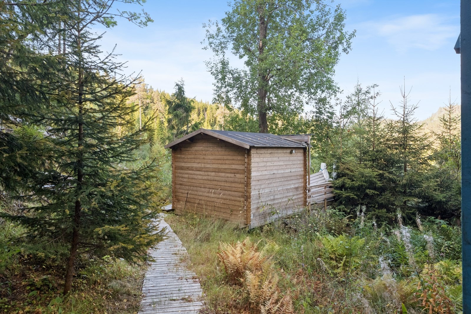 Det er etablert sti frem til hagestue/uthus Galleribilde