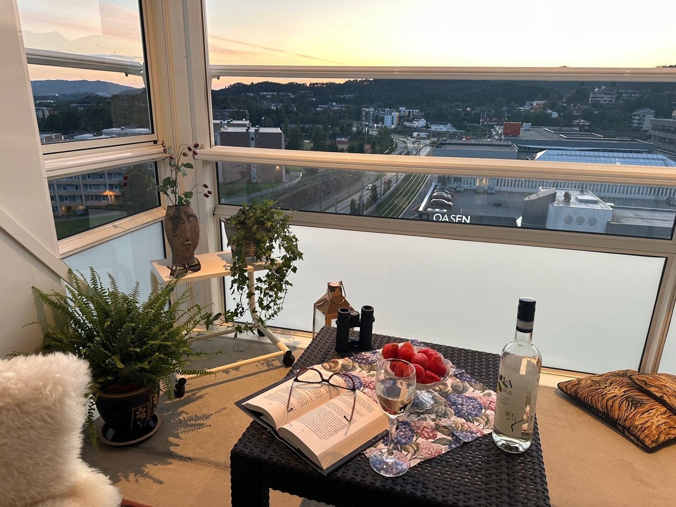 Selgers bilde - stemning Galleribilde