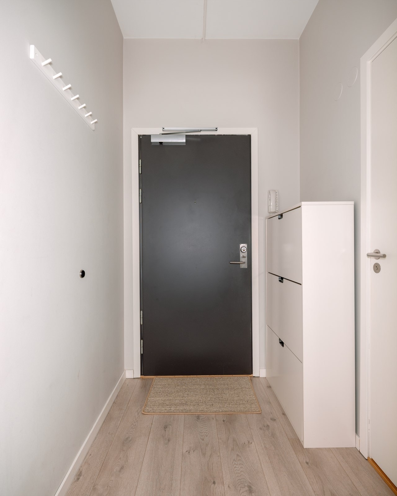 Velkommen inn! Lys entré med plass til en smal kommode eller skohylle samt plass til knagger for å henge av deg yttertøy. Galleribilde