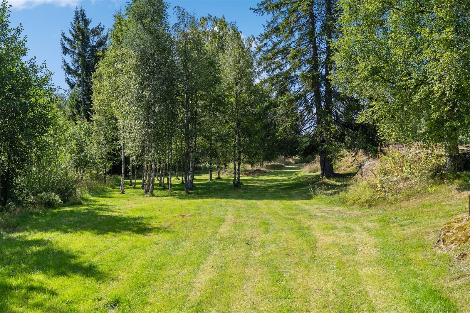 Stedet bærer på mange gode minner, og her har det til og med blitt viet et par i naturskjønne omgivelser. Galleribilde
