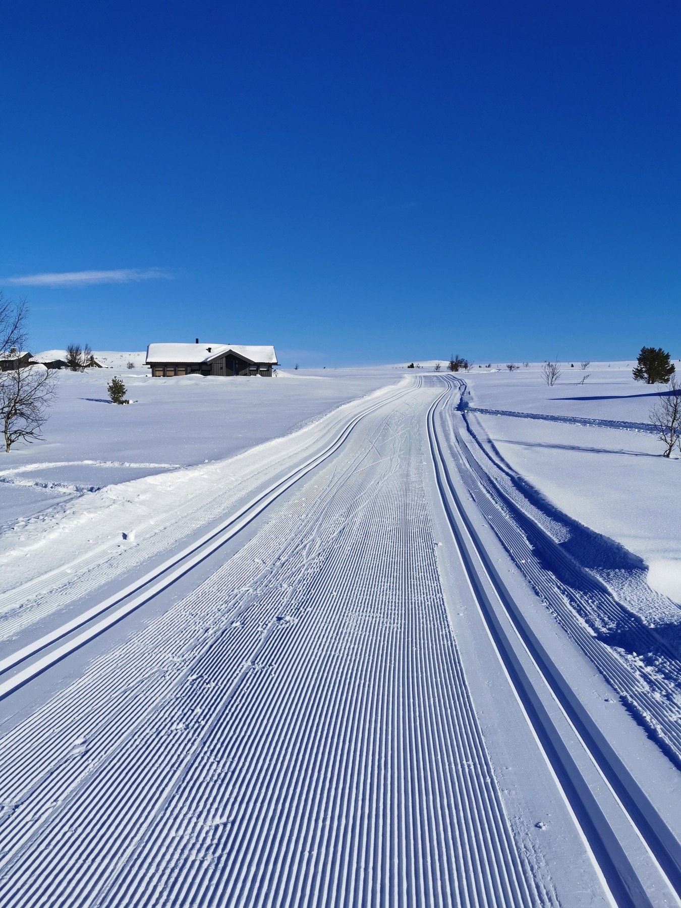 For langrennsentusiasten byr Geilo på opptil 500 km preparerte skiløyper (selgers eget bilde fra Budalen) Galleribilde