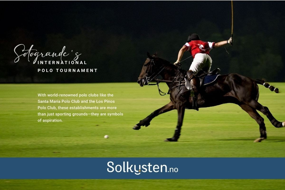 Med verdenskjente poloklubber som Santa María Polo Club og Los Pinos Polo Club, er disse stedene mye mer enn bare sportsarenaer — de er symbolske møtesteder for høye ambisjoner. Galleribilde