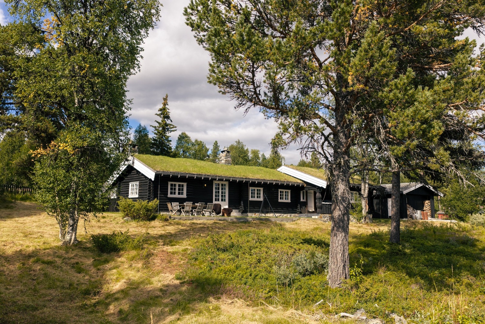 Velkommen til denne fantastiske plassen! Galleribilde