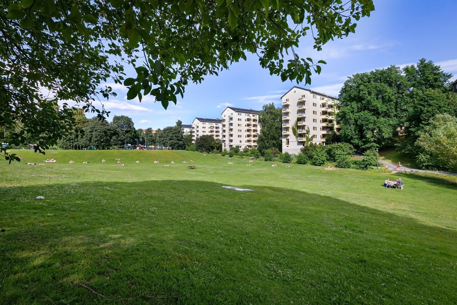 Her har du Iladalen park som nærmeste nabo Galleribilde