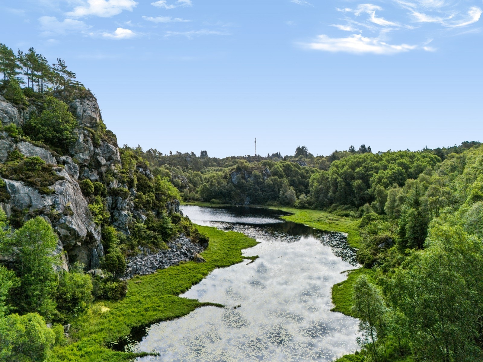 Områdebilde. Galleribilde