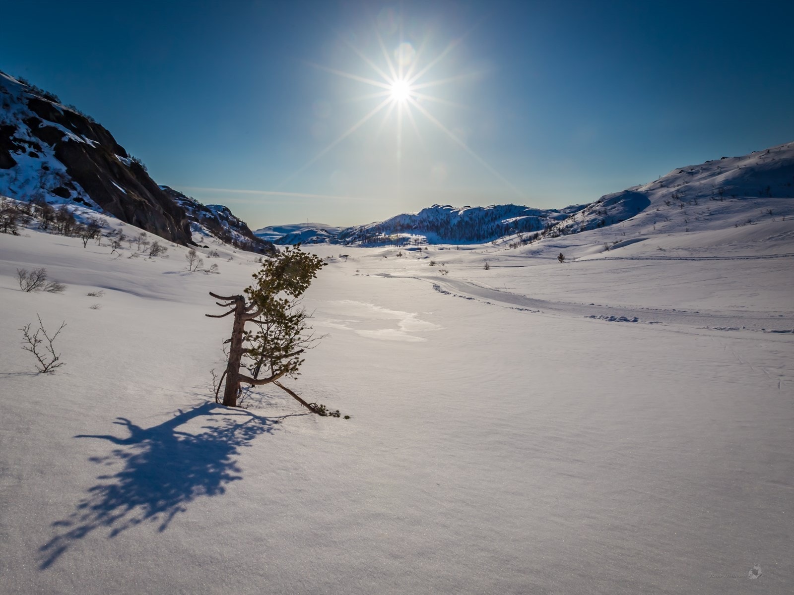 Fjellområdene og de mange vannene gir gode muligheter for ørretfiske og bærplukking. Galleribilde