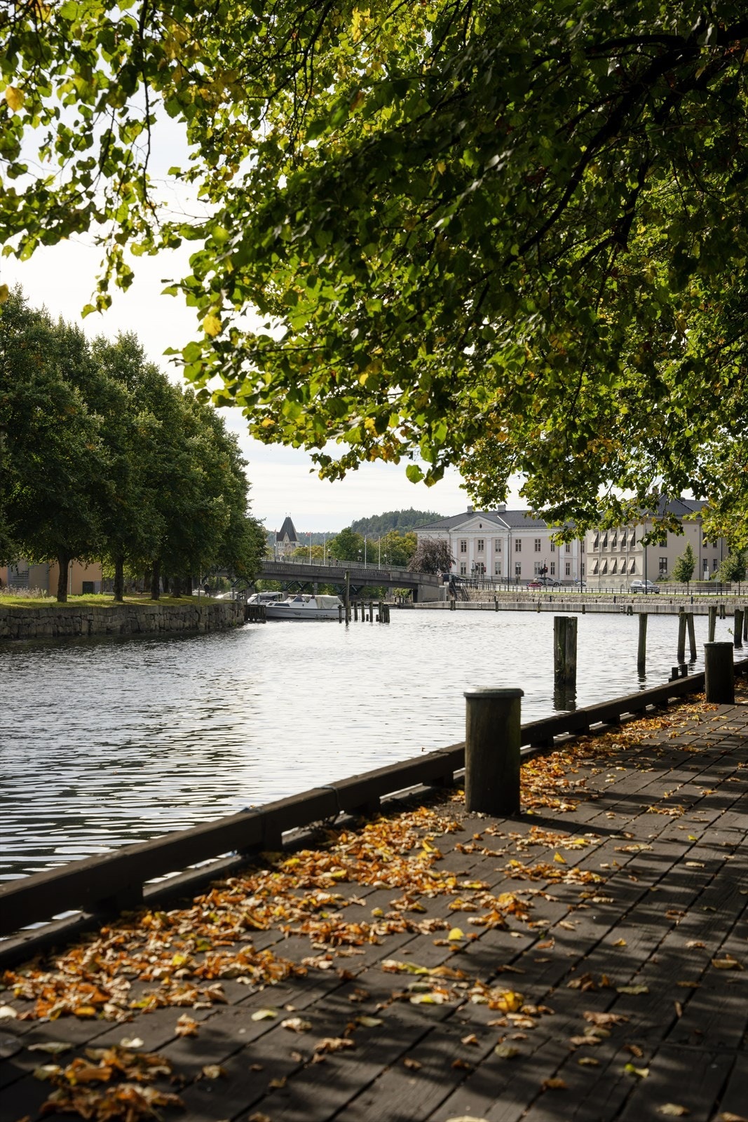 Flotte rekreasjonsmuligheter langs Tista ned mot sentrum. Galleribilde