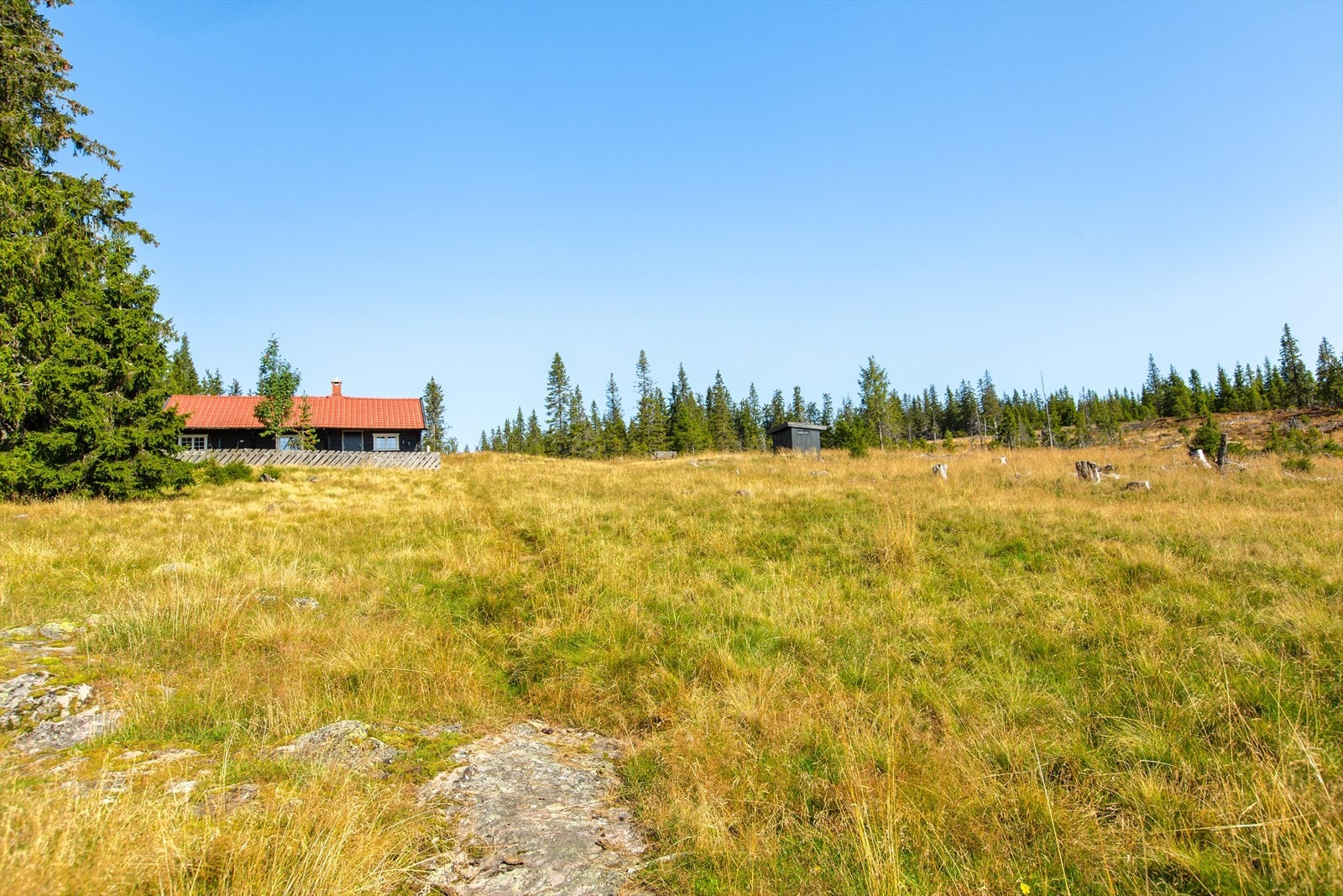 Flotte turområder og stier Galleribilde