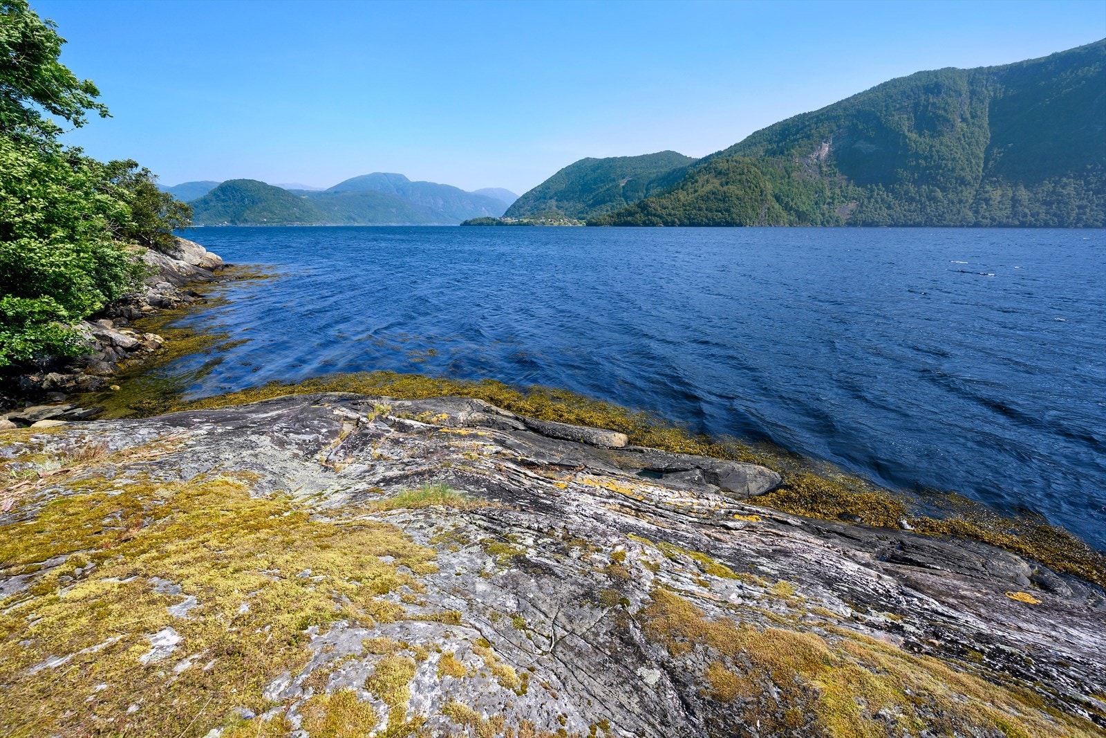 Vidt utsyn over Førdefjorden og dei omliggjande fjellområda. Galleribilde