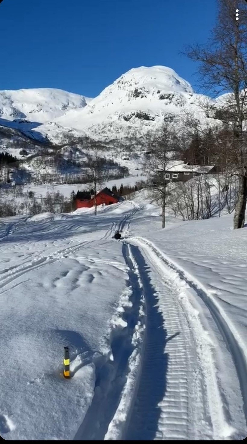 Vinter Galleribilde