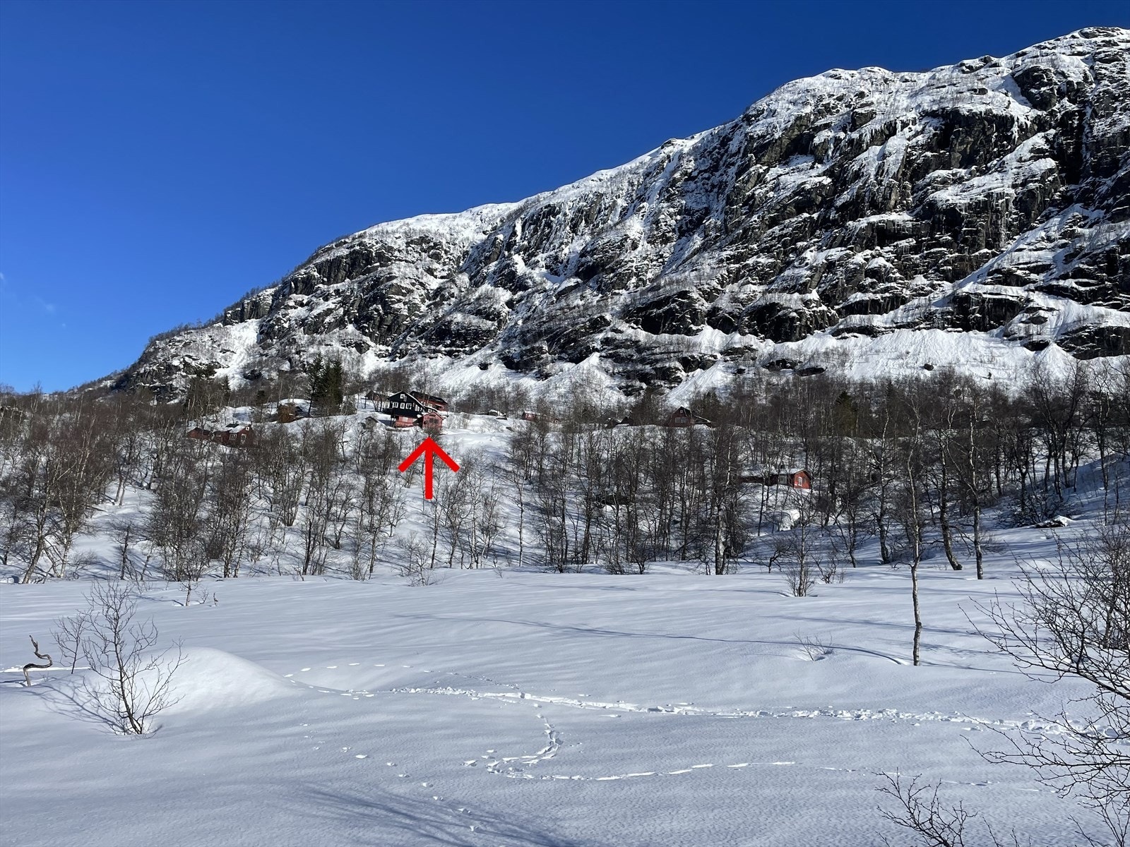 Vinter Galleribilde