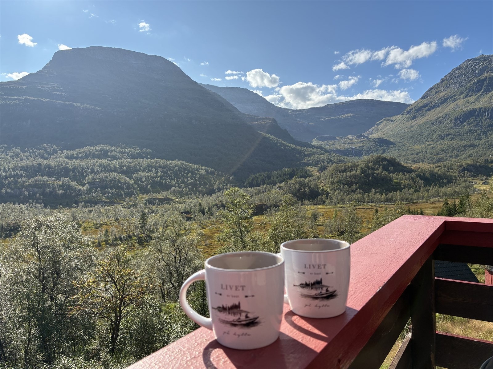 Livet er best på hytta Galleribilde