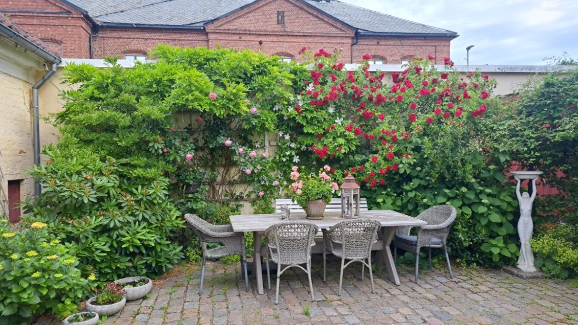 Boligens hage møbleres enkelt med både loungemøbler, solstoler og ikke minst spisegruppe Galleribilde