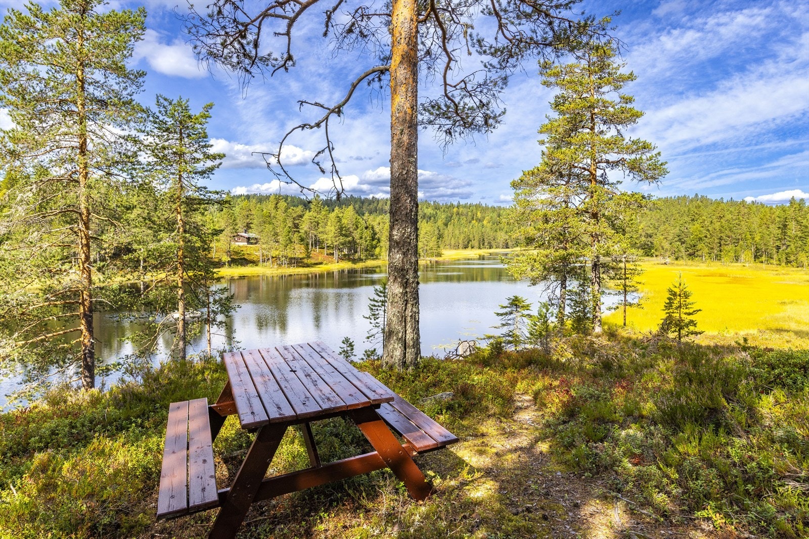 Hytta ligger idyllisk til ved Høltjenn, omgitt av furuskog og lyng. Galleribilde
