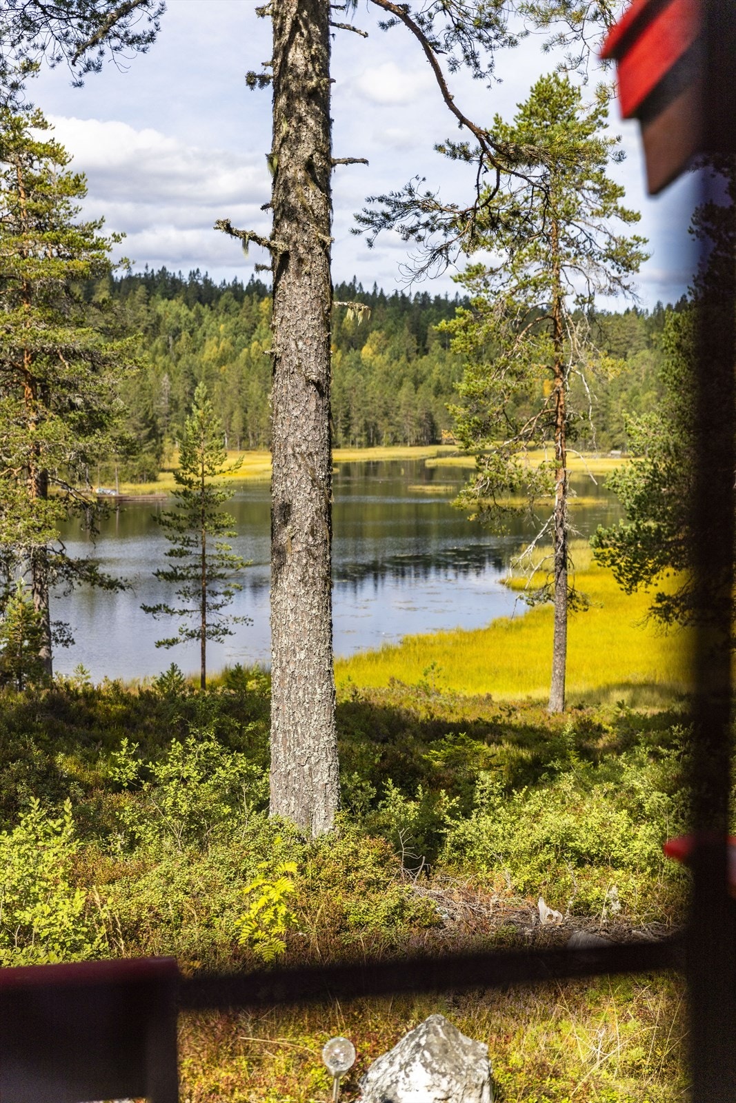 Fra vinduene ser man rett ut på vannet og skogen. Galleribilde