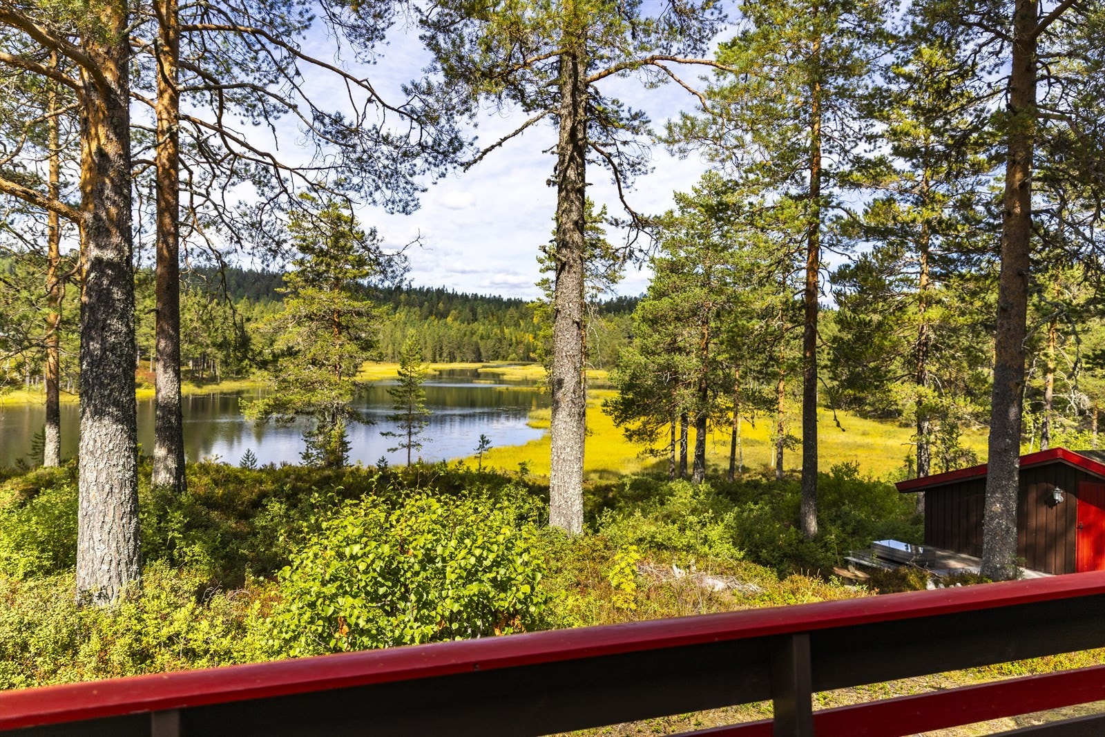 Fra eiendommen er det fin utsikt over Høltjenn og omkringliggende skog. Galleribilde