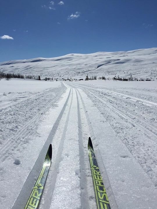 Stemningsbilde fra løypenettet i området. Foto: Selger. Galleribilde
